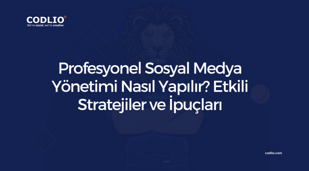 Profesyonel Sosyal Medya Yönetimi Nasıl Yapılır? Etkili Stratejiler ve İpuçları