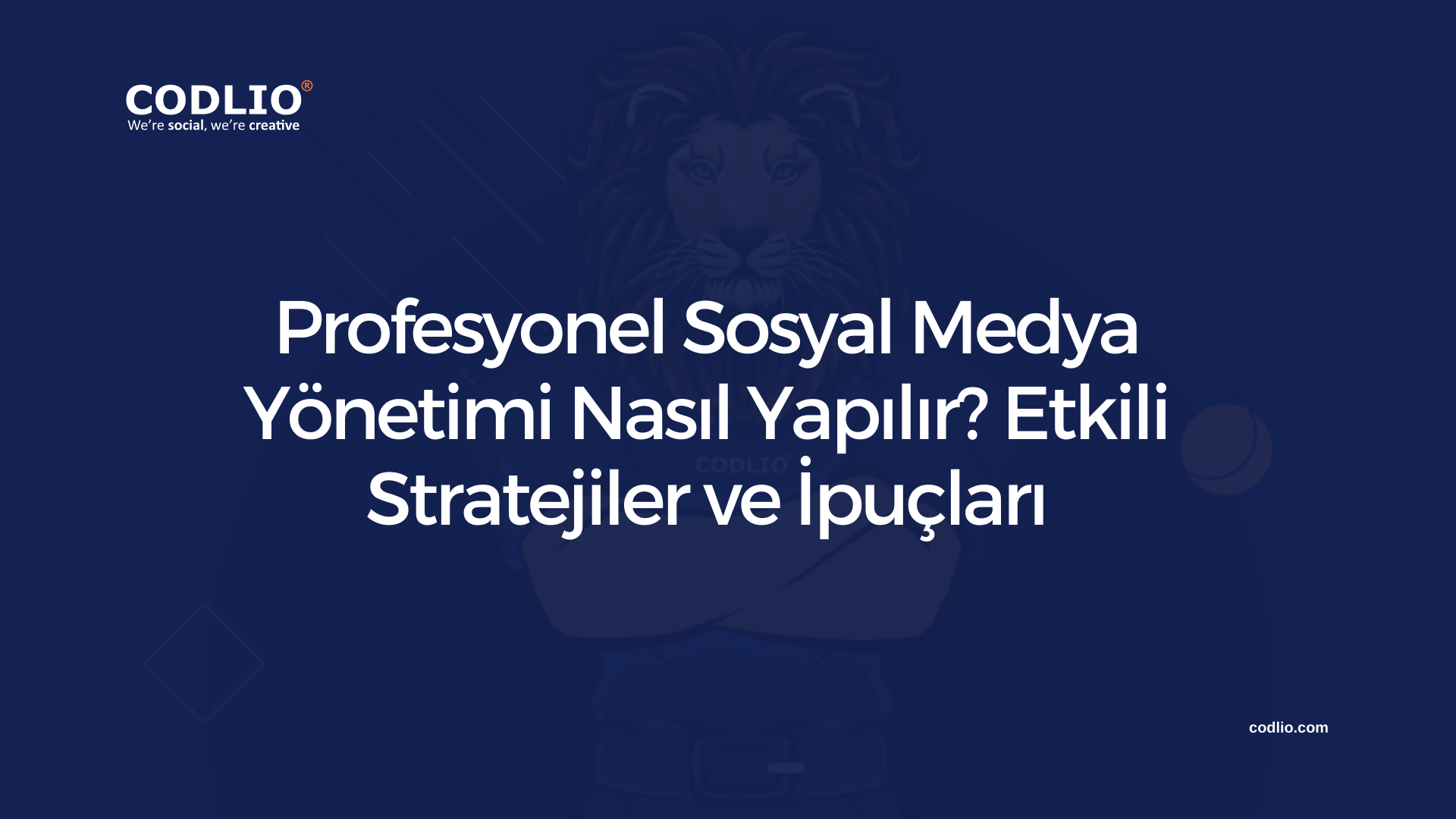 Profesyonel Sosyal Medya Yönetimi Nasıl Yapılır? Etkili Stratejiler ve İpuçları