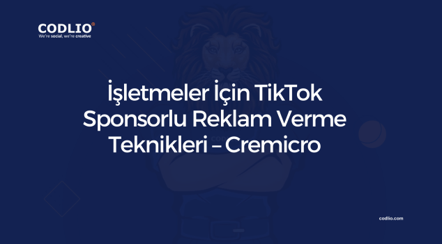 İşletmeler İçin TikTok Sponsorlu Reklam Verme Teknikleri