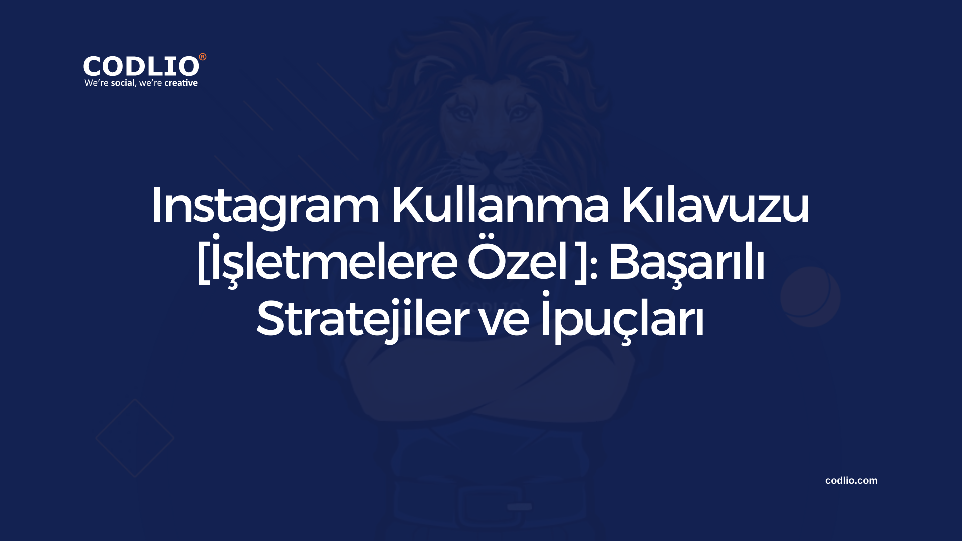 Instagram Kullanma Kılavuzu [İşletmelere Özel]: Başarılı Stratejiler ve İpuçları