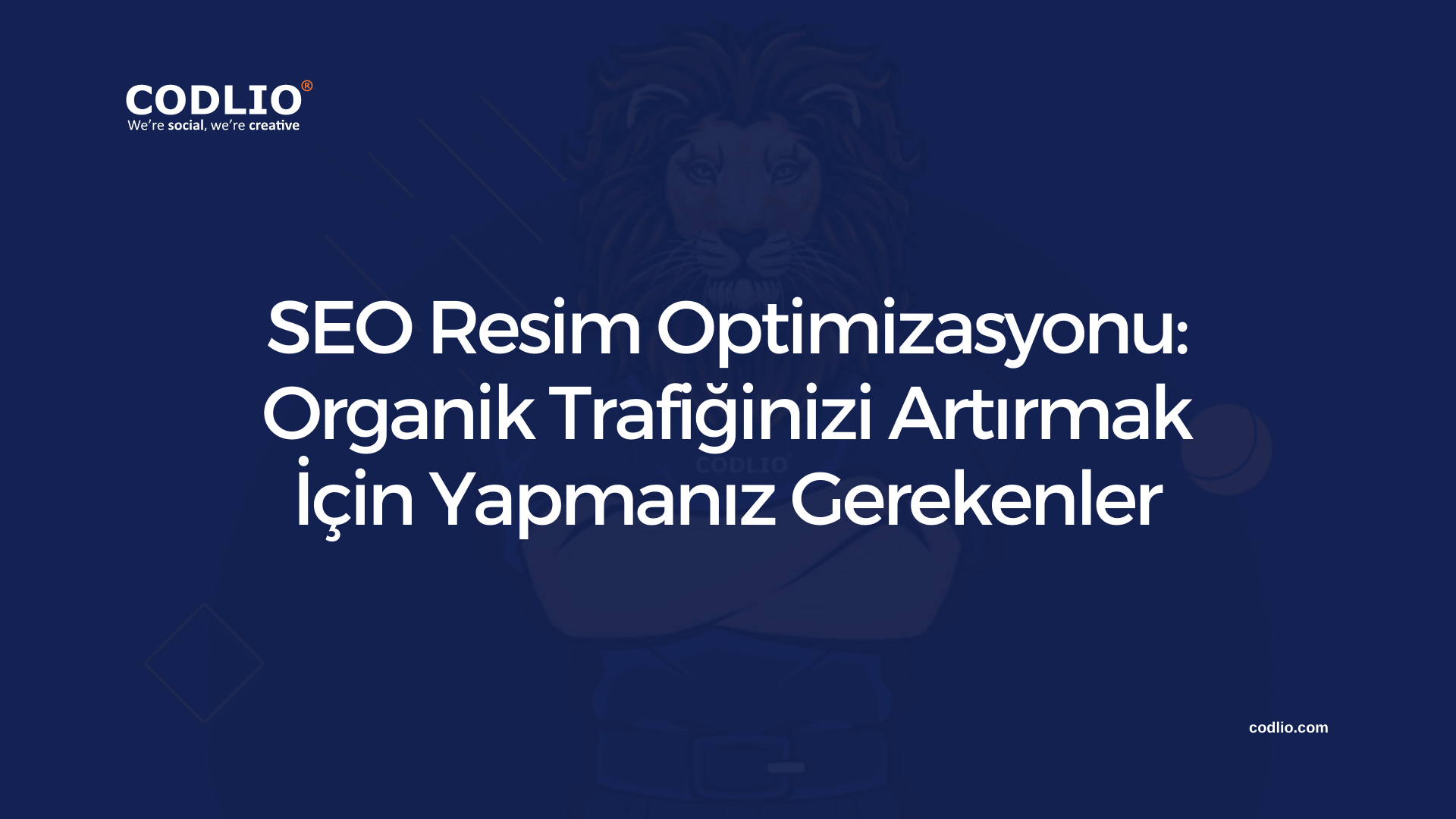 SEO Resim Optimizasyonu: Organik Trafiğinizi Artırmak İçin Yapmanız Gerekenler