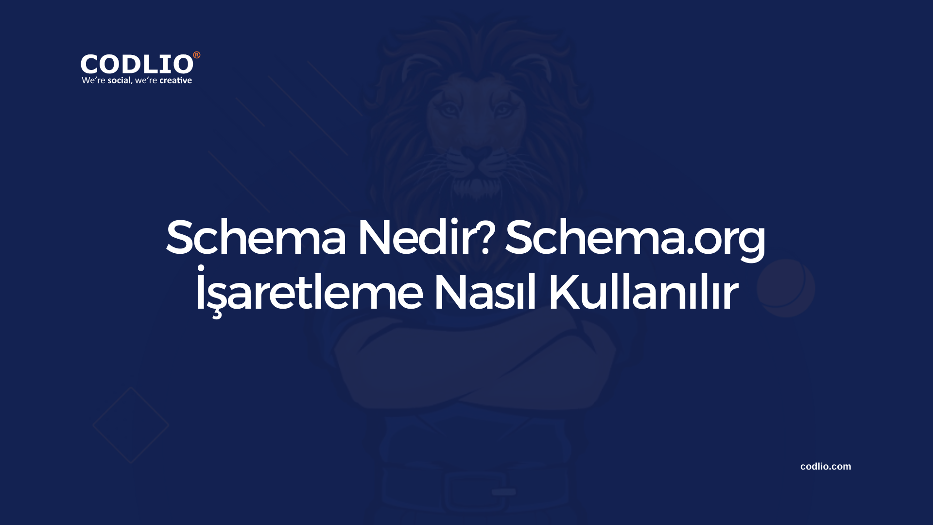 Schema Nedir? Schema.org İşaretleme Nasıl Kullanılır