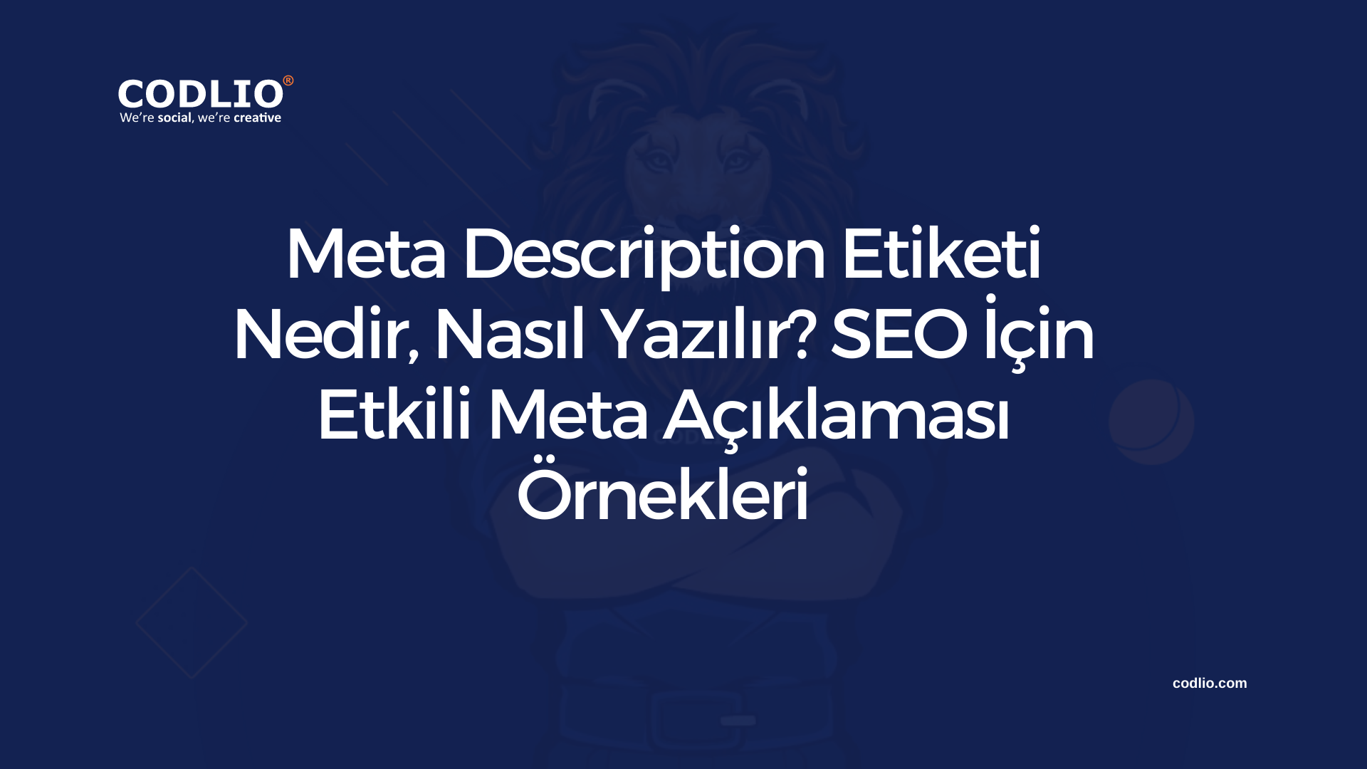 Meta Description Etiketi Nedir, Nasıl Yazılır? SEO İçin Etkili Meta Açıklaması Örnekleri