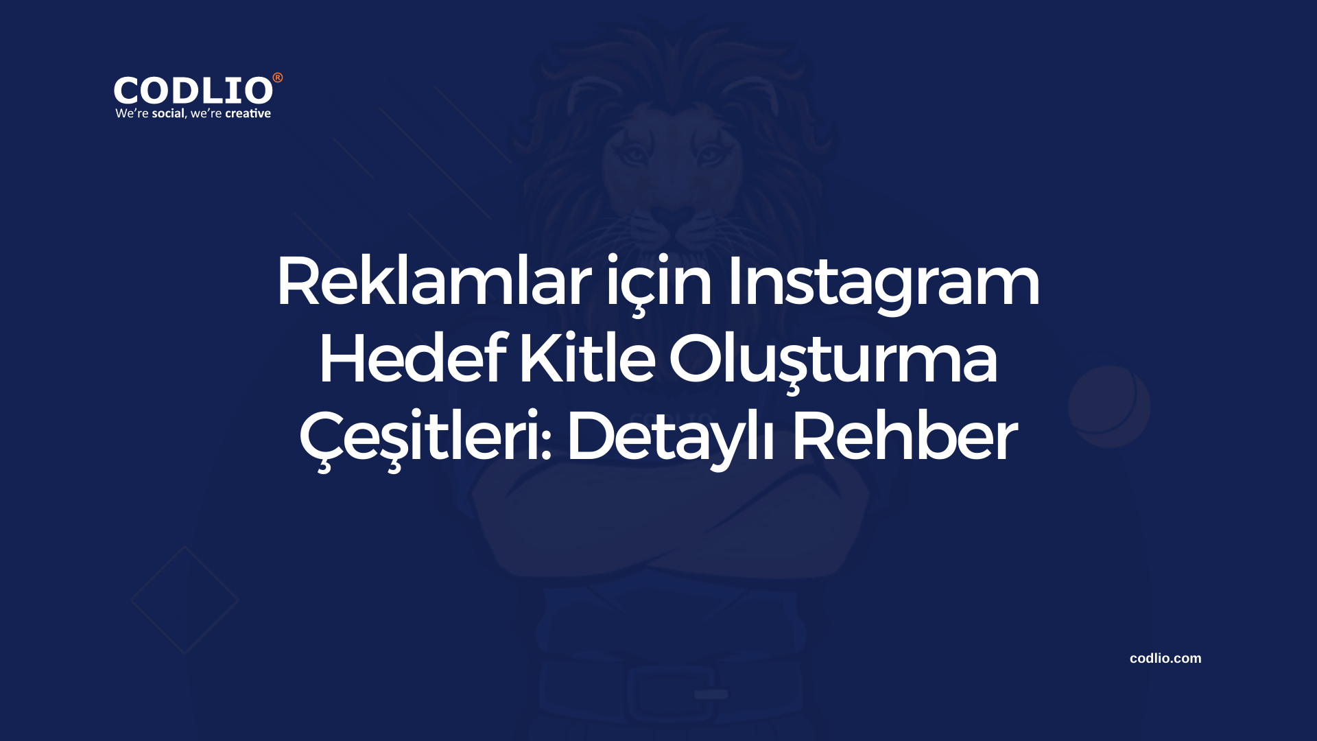 Reklamlar için Instagram Hedef Kitle Oluşturma Çeşitleri: Detaylı Rehber