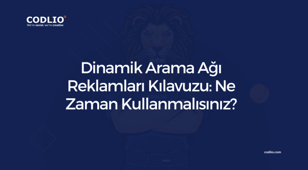 Dinamik Arama Ağı Reklamları Kılavuzu: Ne Zaman Kullanmalısınız?