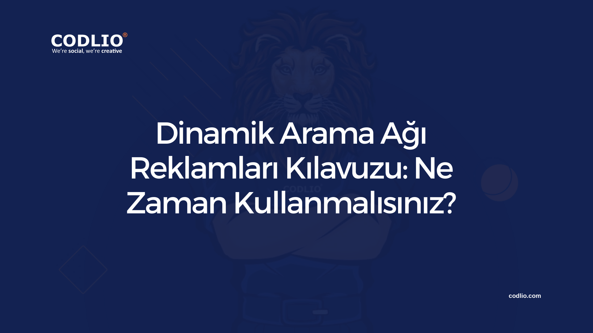 Dinamik Arama Ağı Reklamları Kılavuzu: Ne Zaman Kullanmalısınız?