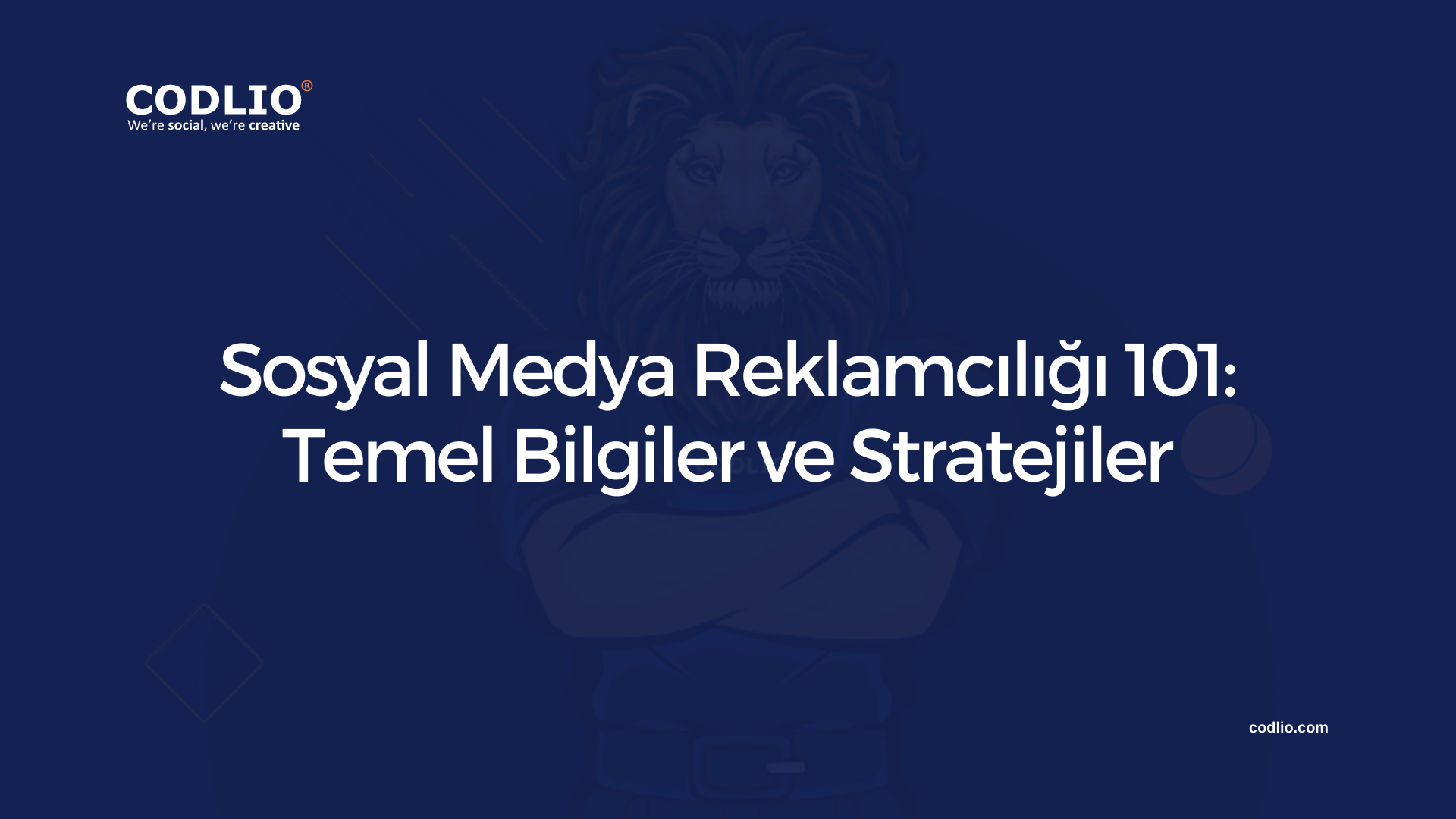 Sosyal Medya Reklamcılığı 101: Temel Bilgiler ve Stratejiler