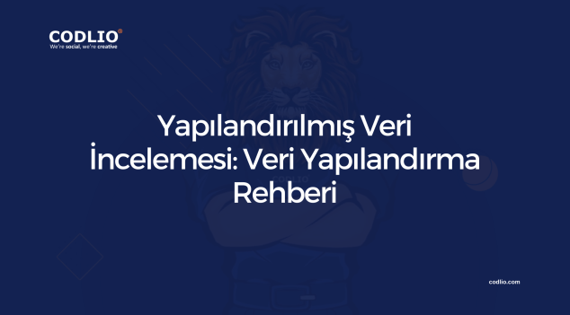 Yapılandırılmış Veri İncelemesi: Veri Yapılandırma Rehberi