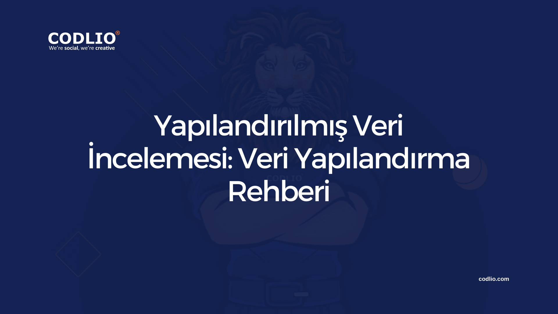 Yapılandırılmış Veri İncelemesi: Veri Yapılandırma Rehberi