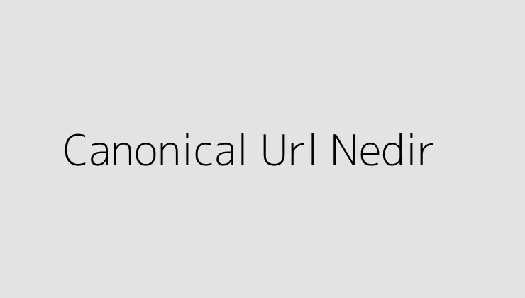 Canonical Url Nedir