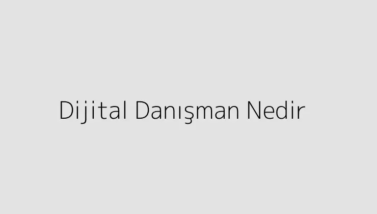 Dijital Danışman Nedir