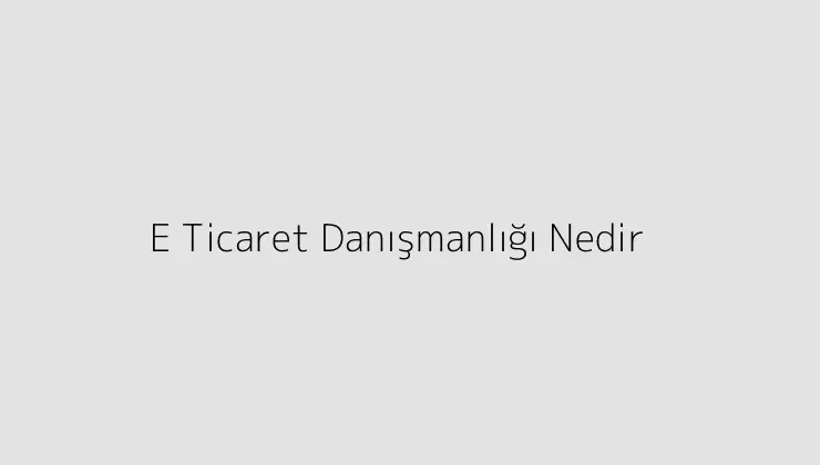 E Ticaret Danışmanlığı Nedir