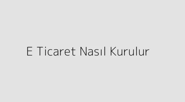 E Ticaret Nasıl Kurulur