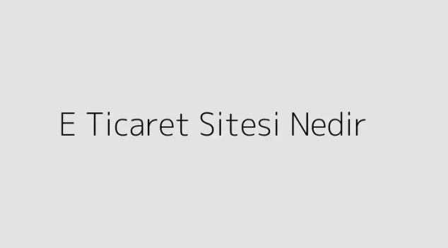 E Ticaret Sitesi Nedir