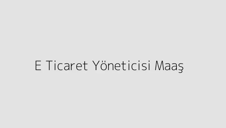 E Ticaret Yöneticisi Maaş