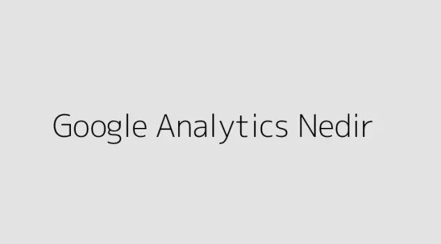 Google Analytics Nedir