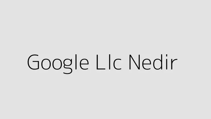 Google Llc Nedir