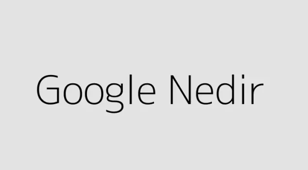 Google Nedir