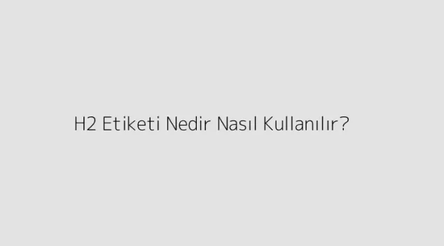 H2 Etiketi Nedir? Nasıl Kullanılır?