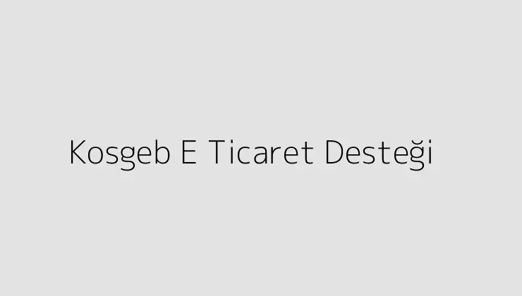 Kosgeb E Ticaret Desteği