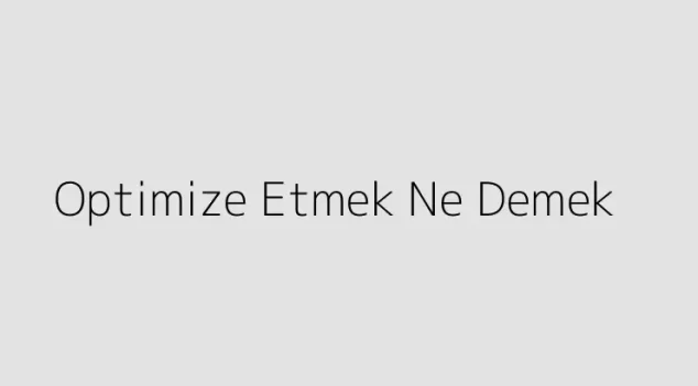 Optimize Etmek Ne Demek