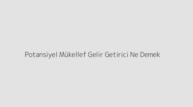 Potansiyel Mükellef Gelir Getirici Ne Demek