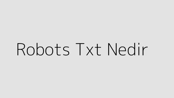 Robots Txt Nedir